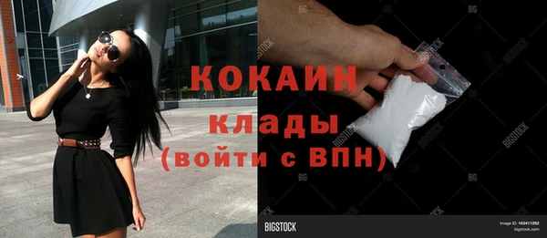 сатива Верея