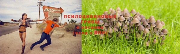 ECSTASY Волосово